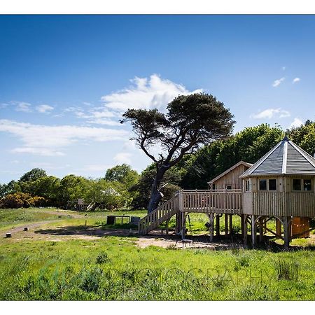 Вилла Harvest Moon Treehouse Данбар Экстерьер фото