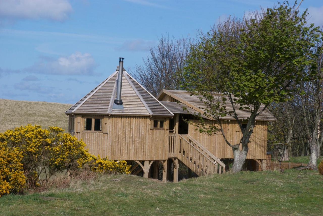 Вилла Harvest Moon Treehouse Данбар Экстерьер фото