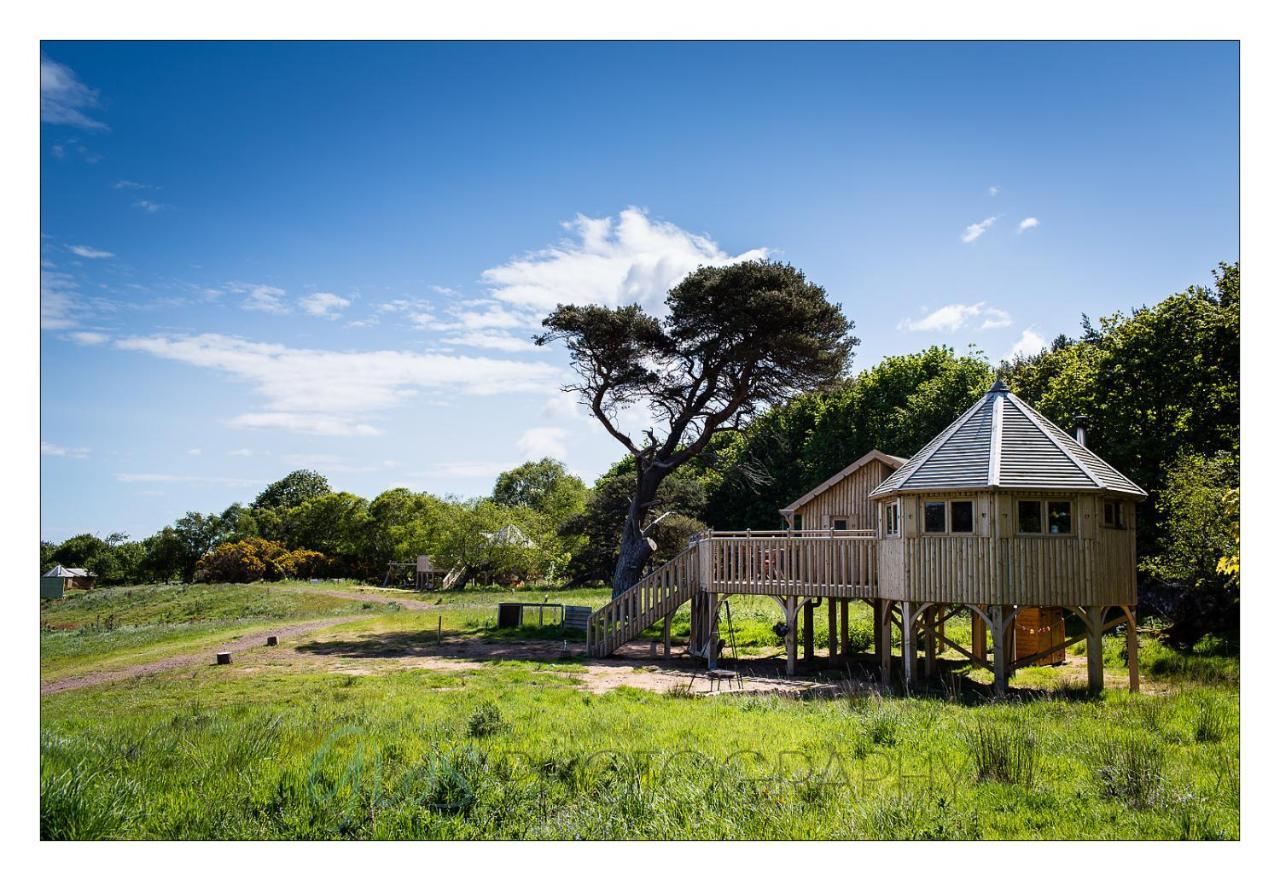 Вилла Harvest Moon Treehouse Данбар Экстерьер фото