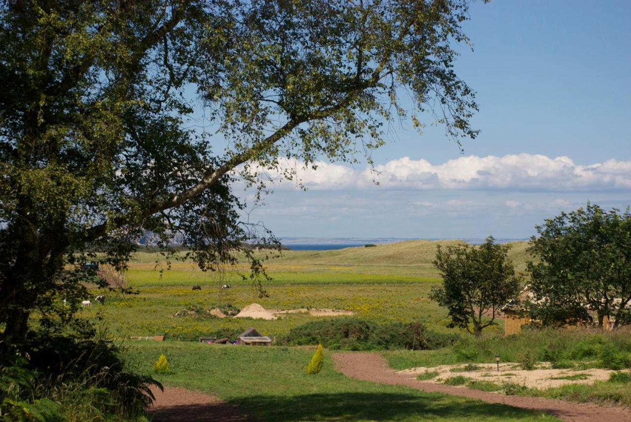 Вилла Harvest Moon Treehouse Данбар Экстерьер фото